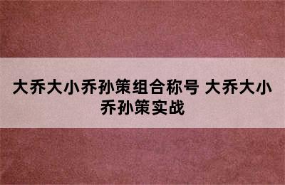 大乔大小乔孙策组合称号 大乔大小乔孙策实战